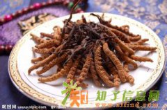 百万庄回收冬虫夏草 收购同仁堂冬虫夏草 礼品燕窝 海参