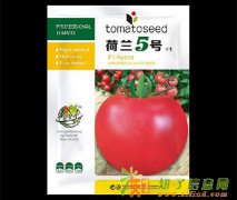 番茄种子包装袋，西红柿种子包装袋定制生产-双祺包装