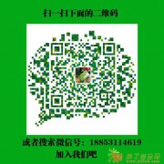 大麦若叶青汁，山野麦田的神奇功效