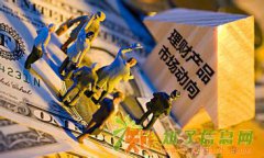 青岛汇海最热门的投资产品是什么？