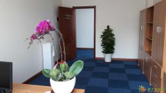 绿植租摆鲜花租摆绿植销售鲜花销售