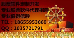 合肥股票软件定制开发招商代理_一站式贴心服务