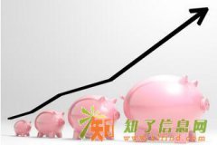 西部贵金属全国招商