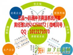 山东番茄种子系统怎么做