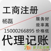 公司大额验资谁能操作？