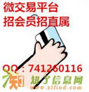 国内哪家微交易平台比较正规