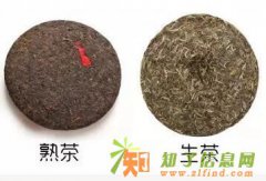 天承艺术品13号市场服务机构首批配售活动重磅来袭