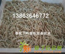 安阳千叶豆腐黄金丝切丝机，千叶豆腐黄金条切条机