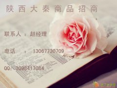 陕西大秦，陕西大秦商品招商。