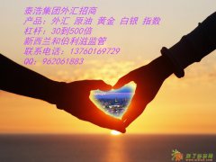 泰浩外汇黄金原油代理