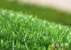 烟台森悦人造草坪有限公司