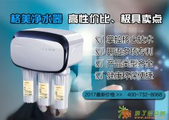 格美净水器热卖引发投资热潮