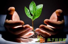 安徽香山（鲁香）液体石蜡点差是多少