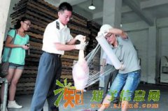 青岛进口美国冷冻猪肉的代理报关公司清关费用