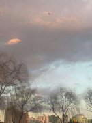 北京物流公司转让