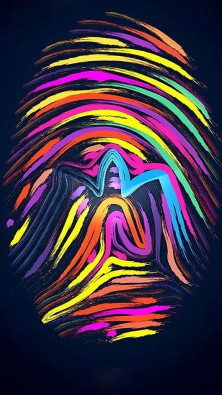 本人想要一家科技公司商贸公司或者其他公司