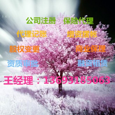 专业二十年代理记账零报税税务变更财务代理