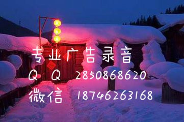中华美食糖炒栗子选用野生板栗店面宣传广告录音促销广告录音