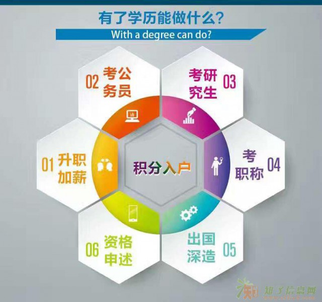 自考网教成考专科本科的区别