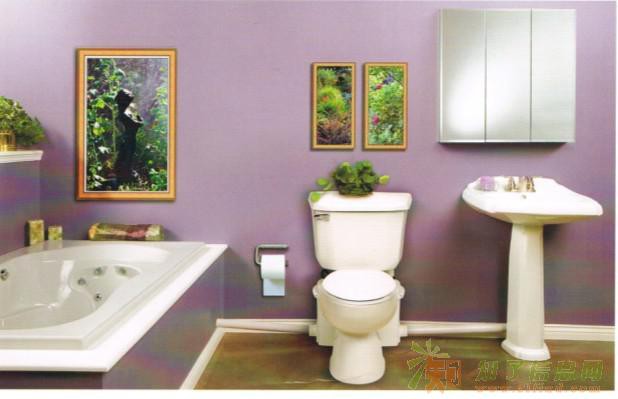 卓勒原装进口污水提升器装置