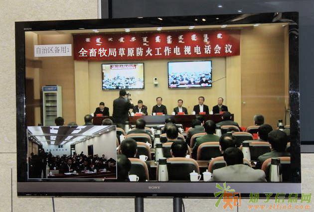 视频会议加快推进畜牧业发展