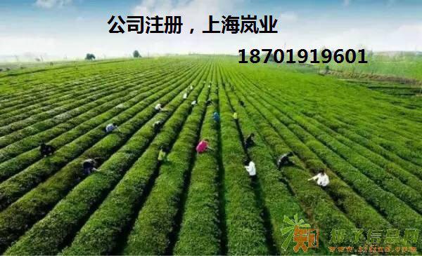 别为账乱而烦恼了，我公司为您解忧