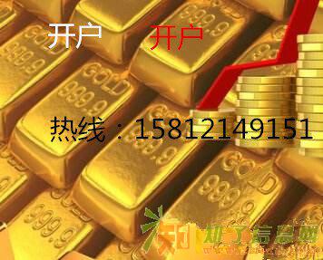 湖北鼎耐火爆招商中，佣金日返