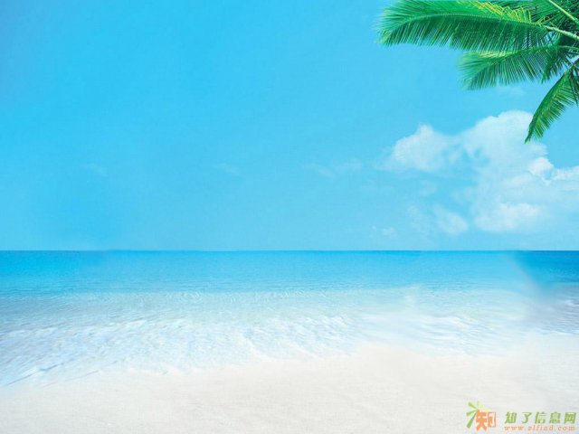 道路运输经营许可证办理