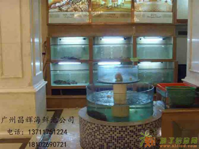 广州小新塘海鲜池定做公司，天河天润路定做海鲜池