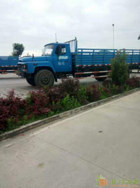 中山增驾a1大客车大巴车 中山增驾a2牵引车挂车