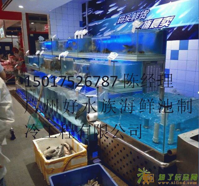 广州白云定做海鲜鱼池公司，红星设计海鲜池公司