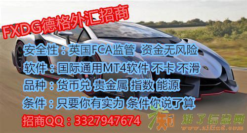 FXDG德格外汇招商