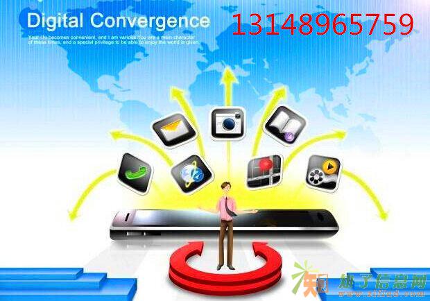 炜丰富硒茶大公排模式制度开发