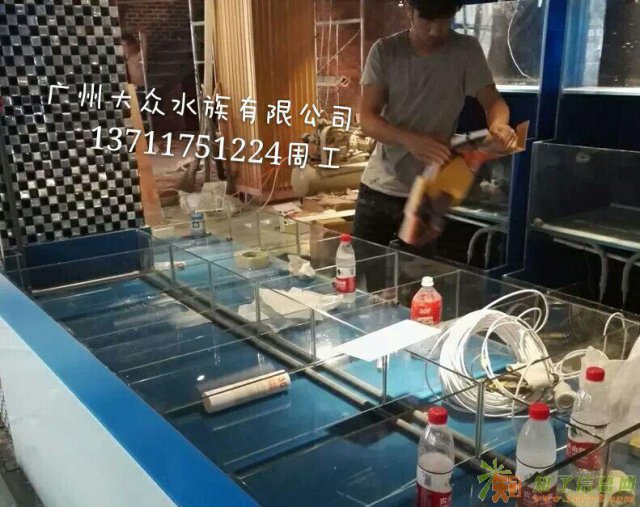 玻璃海鲜池、广州海鲜池制冷机组、海鲜池设计工