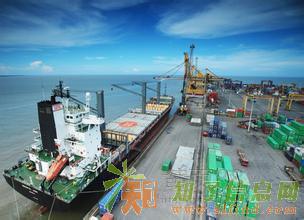 山东专业的进出口代理