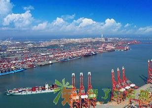 青岛优质的报关清关代理