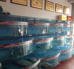 南沙定制玻璃海鲜池 设计海鲜池公司电话