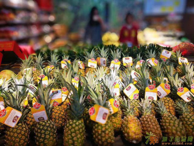 精品水果店加盟势不可挡