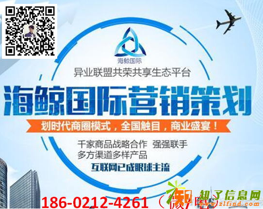 海鲸国际系统软件开发