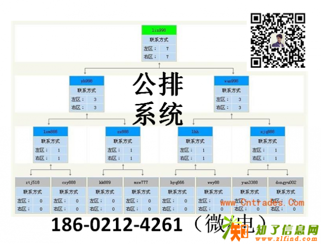 百日宝公排系统源码开发