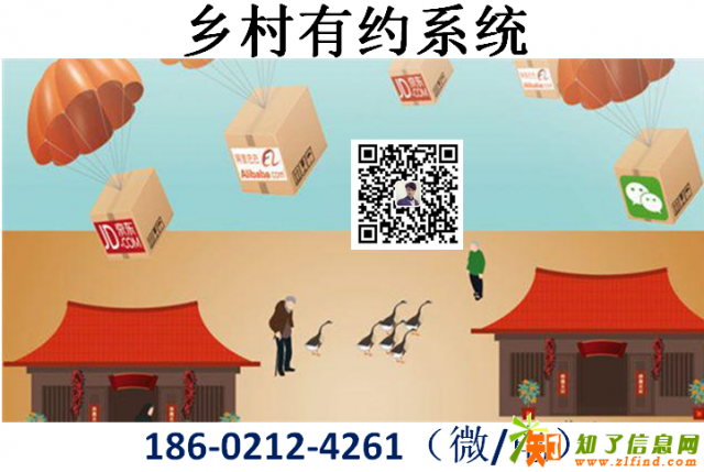 乡村有约系统模式开发