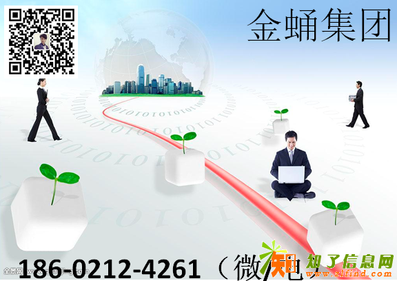 金蛹集团系统平台开发