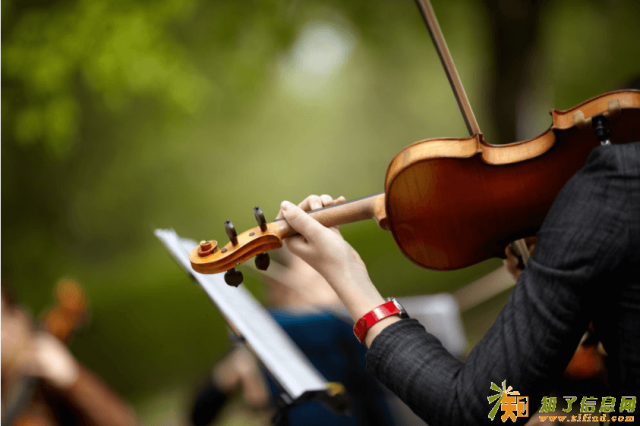 济南小提琴培训持弓运弓遇到的问题