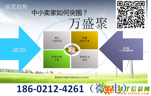 万盛聚公排系统开发