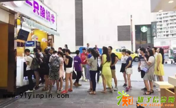 一只酸奶牛可以加盟吗？一只酸奶牛加盟费用多少钱？