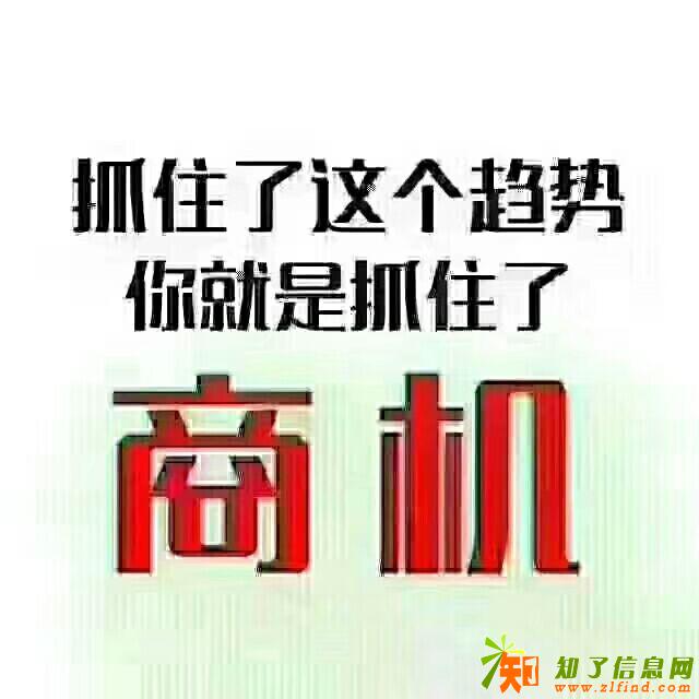 各行业龙头大哥最喜欢的项目半价抢购平台系统