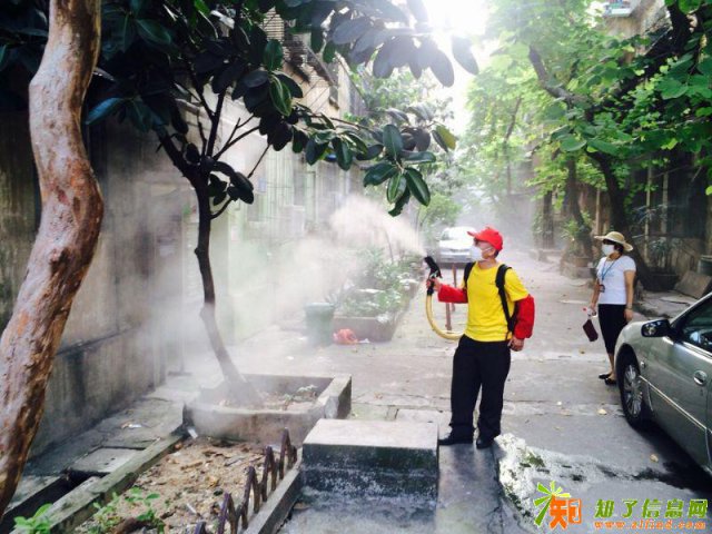 广州番禺市桥石基上门灭蟑螂灭治防鼠消杀蚊虫服务公司