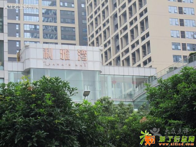 平价广州除四害公司灭蚊灭鼠防白蚁杜老鼠