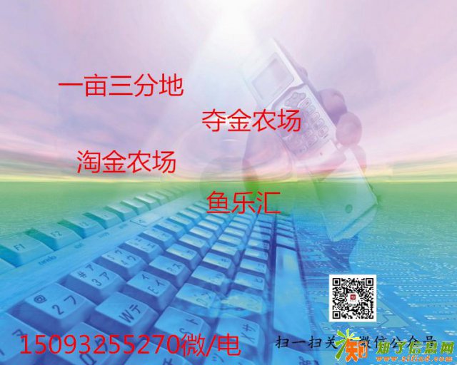 腾远科技专业淘金农场模式一亩三分地系统源码定制