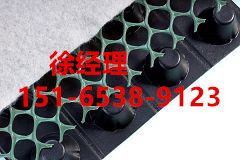 宿迁凹凸排水板